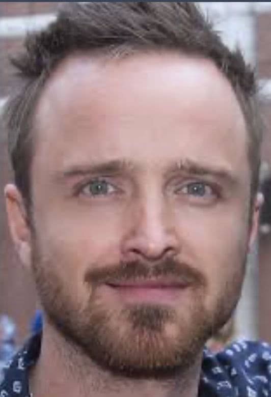 Aaron Paul