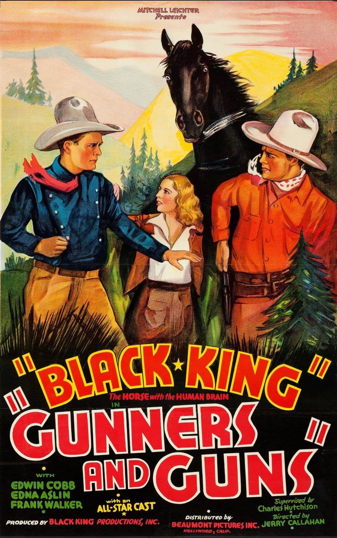Gunners & Guns (1934)    Racketeer Round-Up