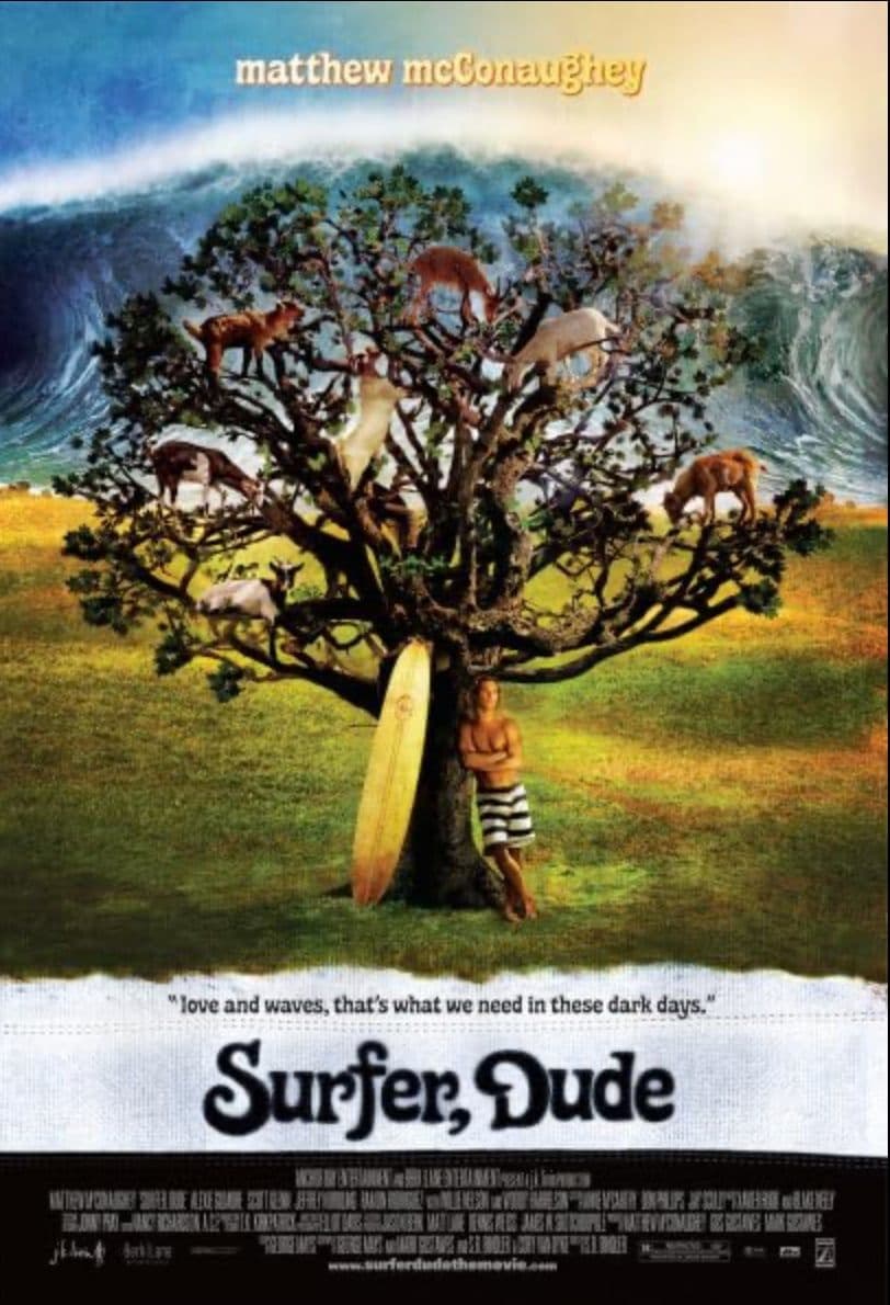 Surfer, Dude